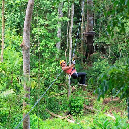 Avatar Amazon Lodge&Canopy Park Santa Teresa Kültér fotó
