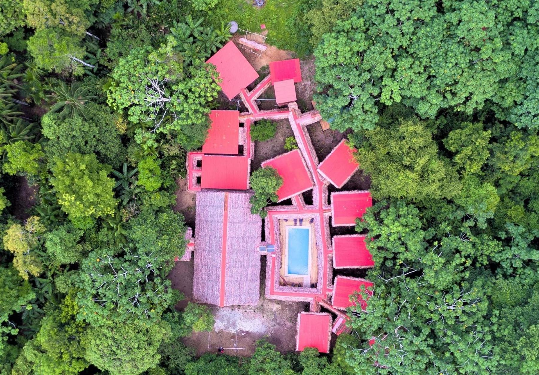 Avatar Amazon Lodge&Canopy Park Santa Teresa Kültér fotó